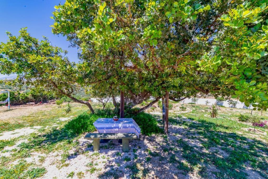 Holiday home George Sea View With Pool - Triopetra